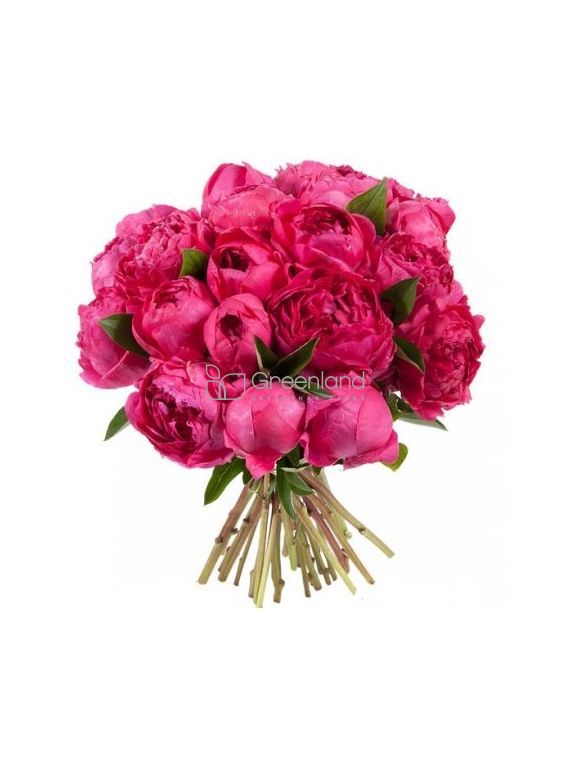 №23/8 Crimson peonies of bouquet