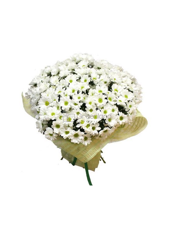 №1721 Букет из 35 хризантем